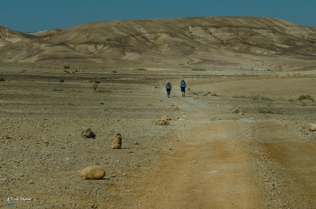Desert Picture Арад Екстериор снимка