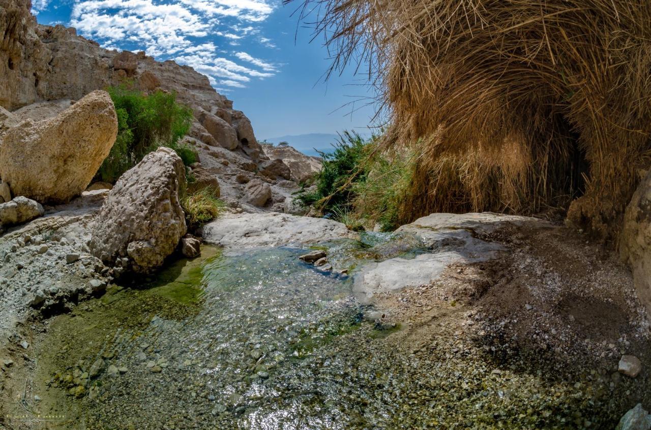 Desert Picture Арад Екстериор снимка